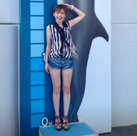 追加します。 [653/1249]