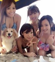 水着入荷 [335/891]