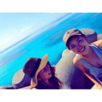 入荷しました [241/891]