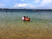 ネットでよく出回っている、I... [168/891]