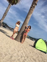 ネットでよく出回っている、I... [184/891]