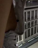 こんなのは？ [397/408]